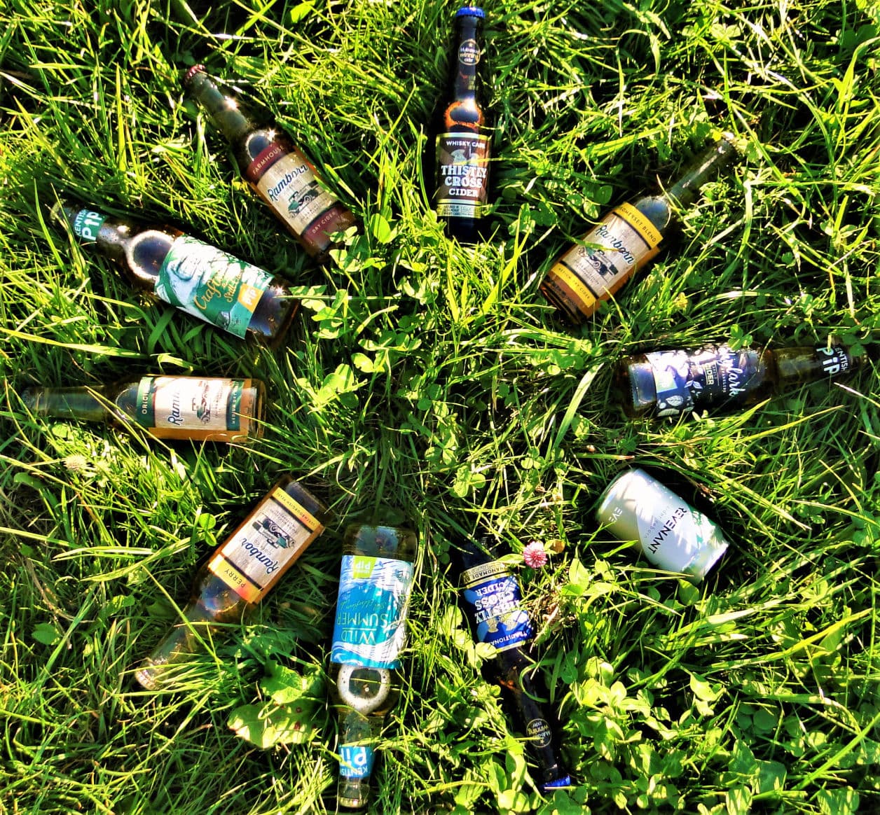 Ring of Cider