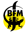 Braserie BFM