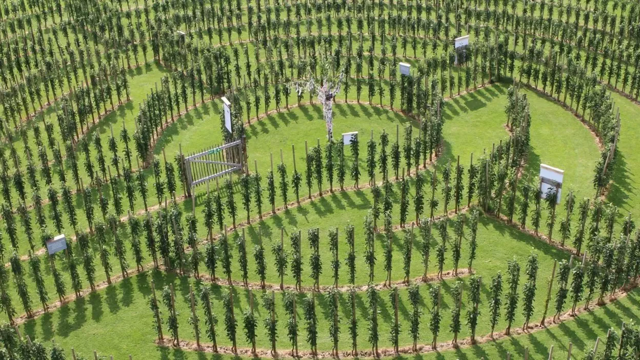 Juckerhof Apple Garden